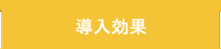 導入効果