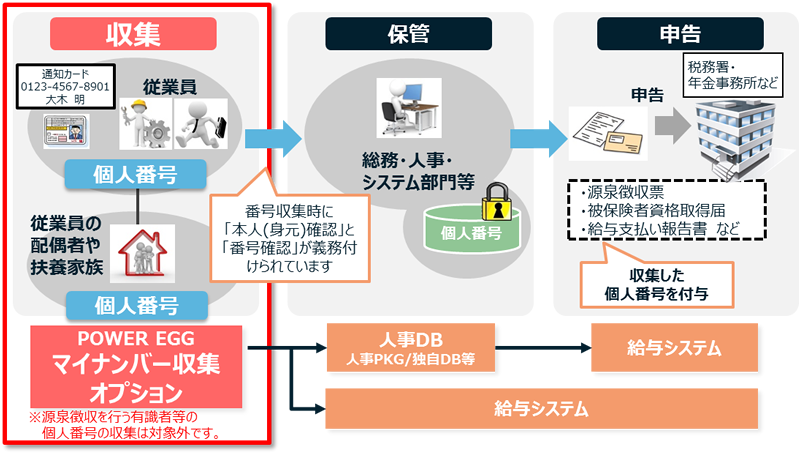 マイナンバー収集オプションとは