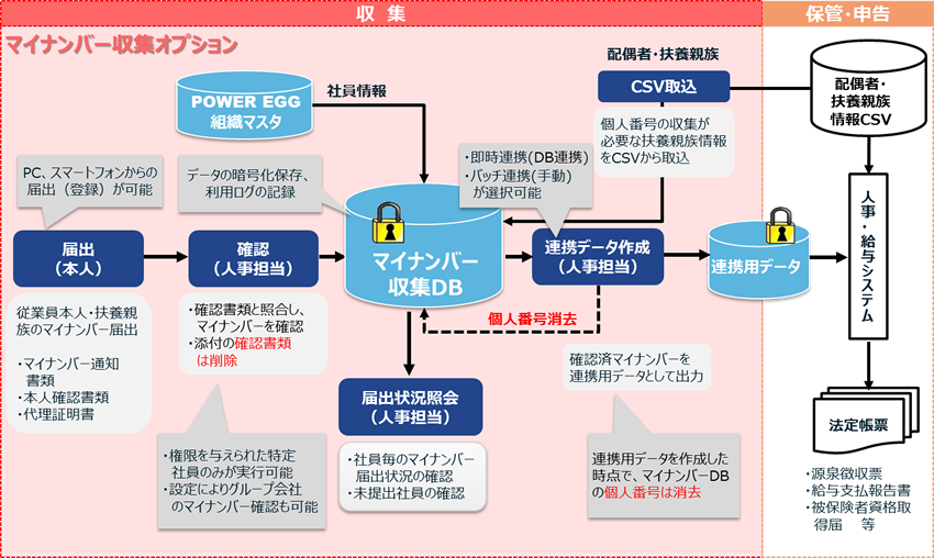 マイナンバー収集オプションの説明画像